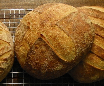 loaf 3