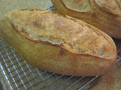 Super sour loaf