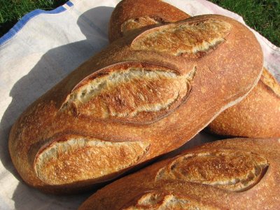 All three loaves of Super White