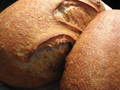 Crust