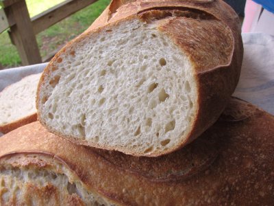 Crumb of Super White Sourdough