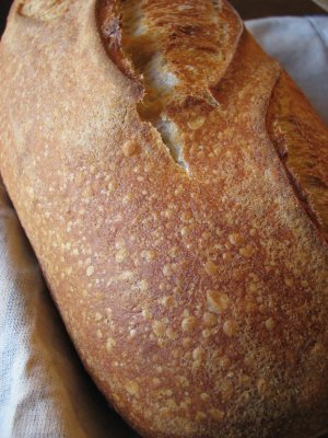 Closeup of crust