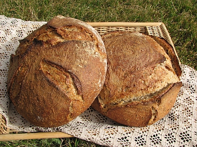 Swedish Rye