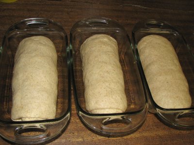 three loaves ready to go