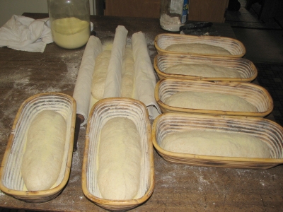 wheat white proofing