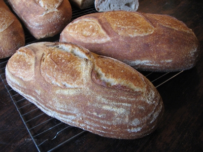 wheat white bread