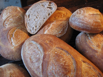 wheat white bread